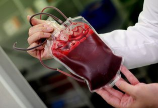 Buttransfusion Verlassen Wahrheiten jetzt! Vermehrt fragen aktive Zeugen Jehovas in Kliniken nach der Möglichkeit einer anonymen Bluttransfusion